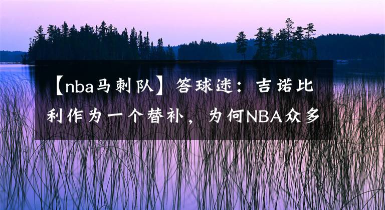 【nba马刺队】答球迷：吉诺比利作为一个替补，为何NBA众多球员曾视他为偶像？