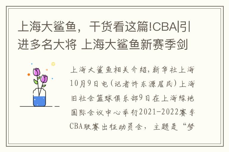 上海大鲨鱼，干货看这篇!CBA|引进多名大将 上海大鲨鱼新赛季剑指季后赛