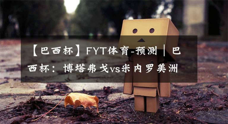 【巴西杯】FYT体育-预测｜巴西杯：博塔弗戈vs米内罗美洲