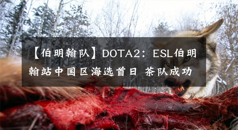 【伯明翰队】DOTA2：ESL伯明翰站中国区海选首日 茶队成功晋级八强！