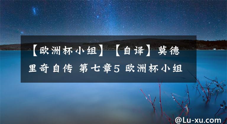 【欧洲杯小组】【自译】莫德里奇自传 第七章5 欧洲杯小组赛（上）