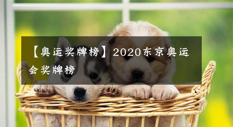 【奥运奖牌榜】2020东京奥运会奖牌榜