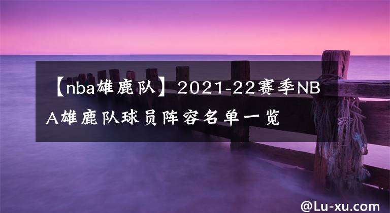 【nba雄鹿队】2021-22赛季NBA雄鹿队球员阵容名单一览