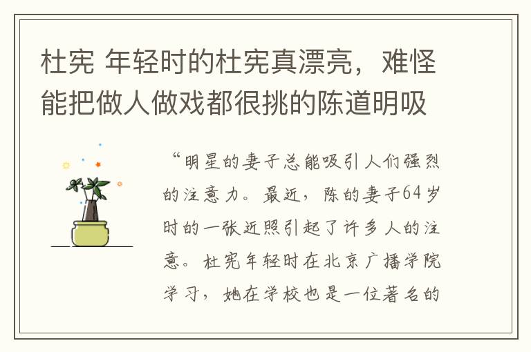 杜宪年轻时的杜宪真漂亮难怪能把做人做戏都很挑的陈道明吸引住