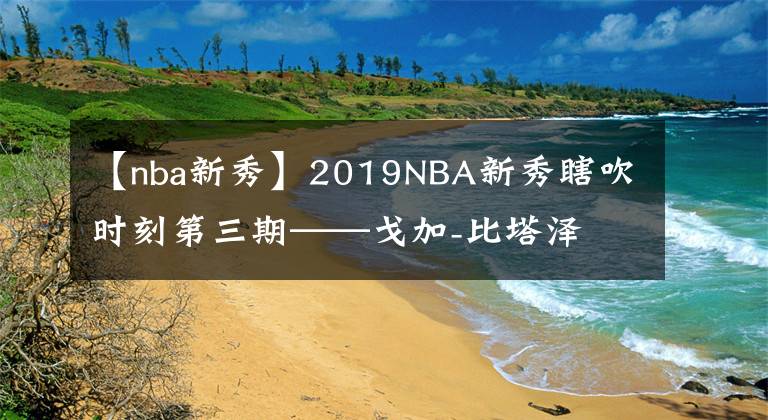 【nba新秀】2019NBA新秀瞎吹时刻第三期——戈加-比塔泽