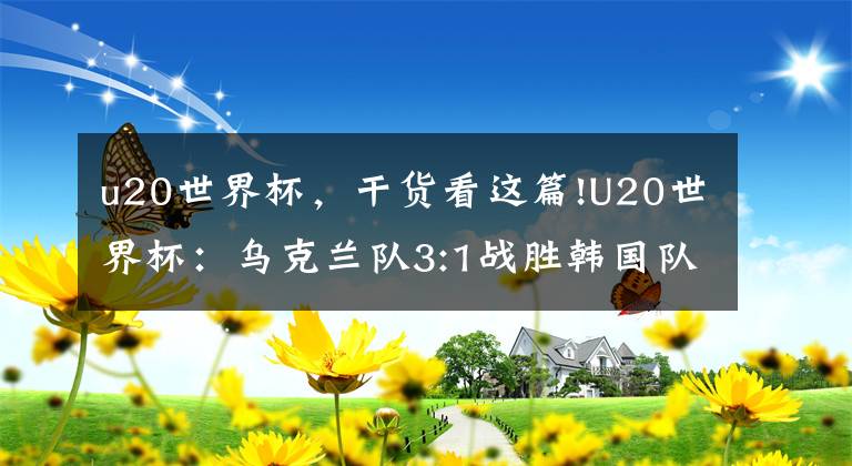 u20世界杯，干货看这篇!U20世界杯：乌克兰队3:1战胜韩国队夺冠