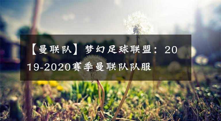 【曼联队】梦幻足球联盟：2019-2020赛季曼联队队服