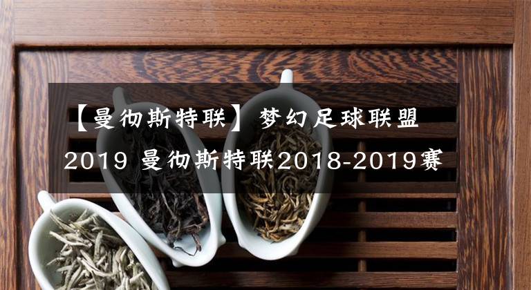 【曼彻斯特联】梦幻足球联盟2019 曼彻斯特联2018-2019赛季球衣