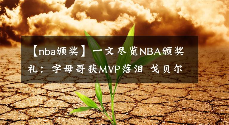 【nba颁奖】一文尽览NBA颁奖礼：字母哥获MVP落泪 戈贝尔最佳防守球员