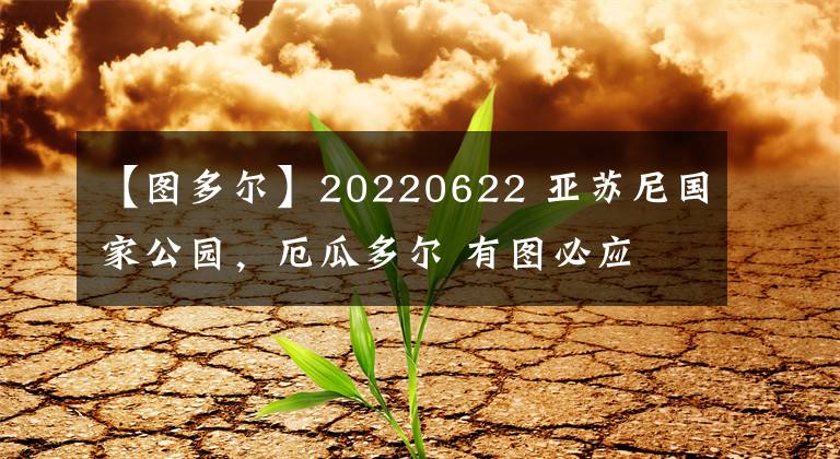 【图多尔】20220622 亚苏尼国家公园，厄瓜多尔 有图必应