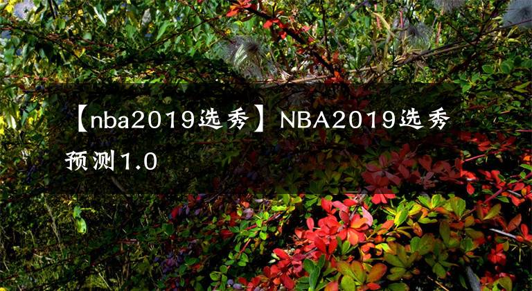 【nba2019选秀】NBA2019选秀预测1.0
