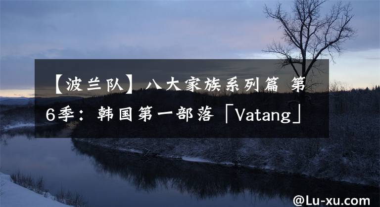 【波兰队】八大家族系列篇 第6季：韩国第一部落「Vatang」实战阵型Top5 波兰赛击败过毛豆的队