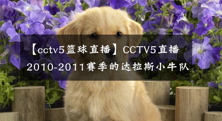 【cctv5篮球直播】CCTV5直播2010-2011赛季的达拉斯小牛队