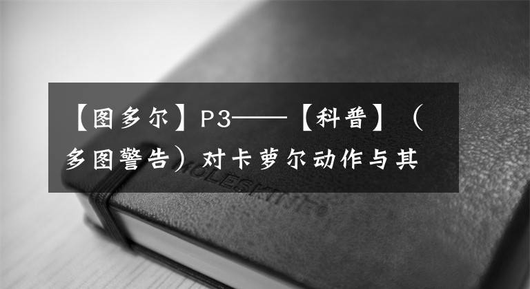 【图多尔】P3——【科普】（多图警告）对卡萝尔动作与其他动作相似的解答