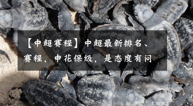【中超赛程】中超最新排名、赛程，申花保级，是态度有问题还是技不如人？