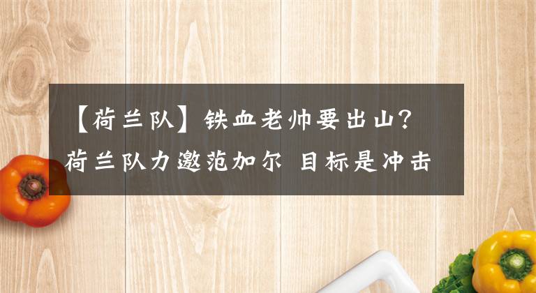 【荷兰队】铁血老帅要出山？荷兰队力邀范加尔 目标是冲击卡塔尔世界杯