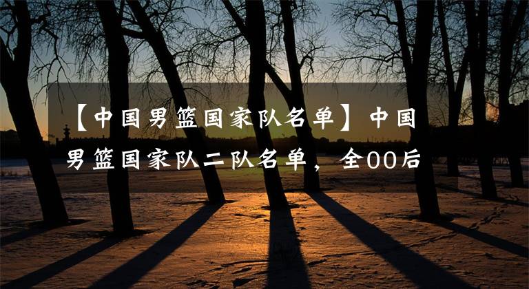 【中国男篮国家队名单】中国男篮国家队二队名单，全00后