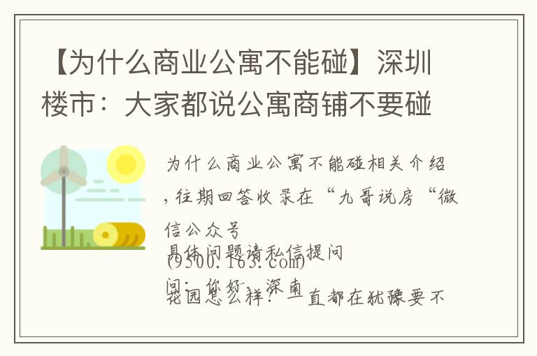 【为什么商业公寓不能碰】深圳楼市：大家都说公寓商铺不要碰，为何？