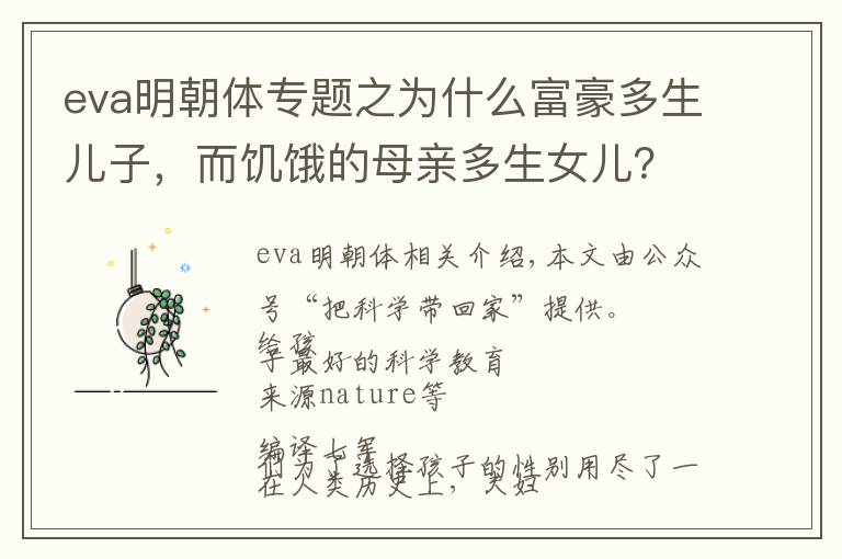 eva明朝体专题之为什么富豪多生儿子，而饥饿的母亲多生女儿？