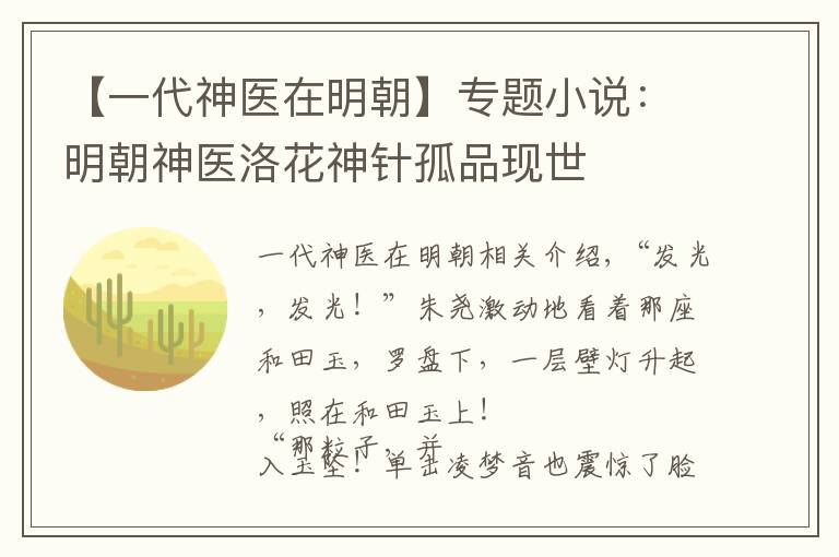 【一代神医在明朝】专题小说：明朝神医洛花神针孤品现世