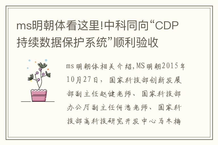 ms明朝体看这里!中科同向“CDP持续数据保护系统”顺利验收