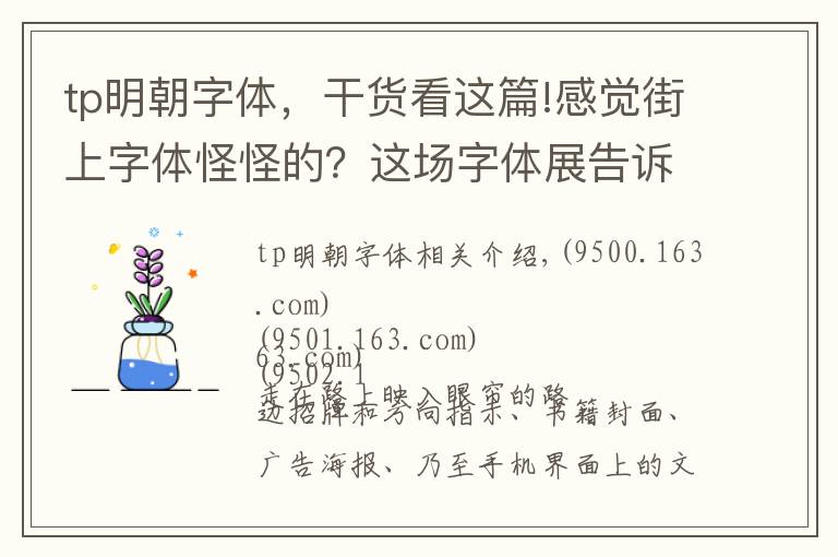 tp明朝字体，干货看这篇!感觉街上字体怪怪的？这场字体展告诉你用错字体也大有意义