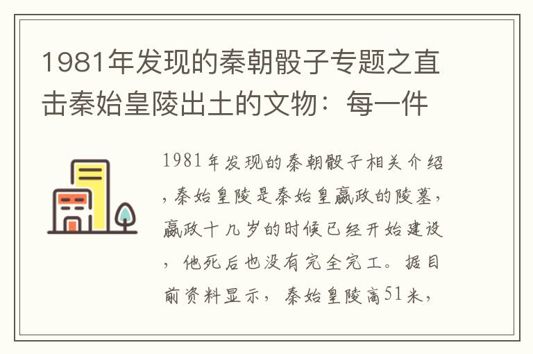 1981年发现的秦朝骰子专题之直击秦始皇陵出土的文物：每一件都价值连城，图四专家也难以置信
