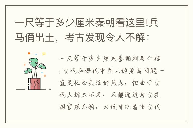 一尺等于多少厘米秦朝看这里!兵马俑出土，考古发现令人不解：秦军身高比现代人还要高？