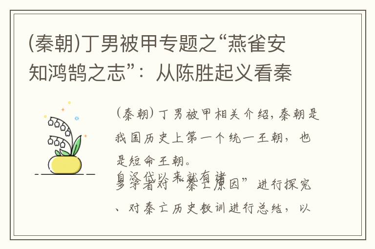 (秦朝)丁男被甲专题之“燕雀安知鸿鹄之志”：从陈胜起义看秦国的灭亡