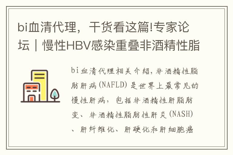 bi血清代理，干货看这篇!专家论坛｜慢性HBV感染重叠非酒精性脂肪性肝病的自然史、无创诊断及临床管理