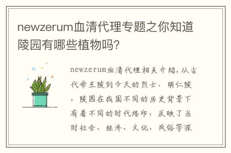 newzerum血清代理专题之你知道陵园有哪些植物吗？