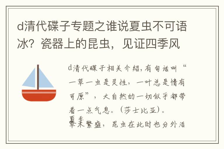 d清代碟子专题之谁说夏虫不可语冰？瓷器上的昆虫，见证四季风景变化