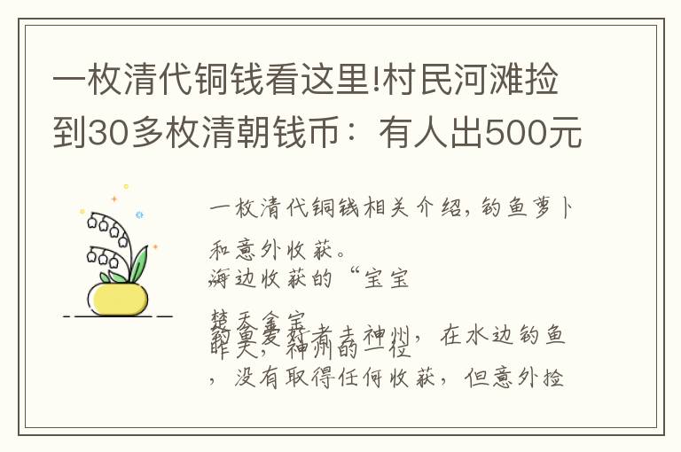 一枚清代铜钱看这里!村民河滩捡到30多枚清朝钱币：有人出500元收藏