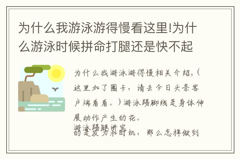 为什么我游泳游得慢看这里!为什么游泳时候拼命打腿还是快不起来？