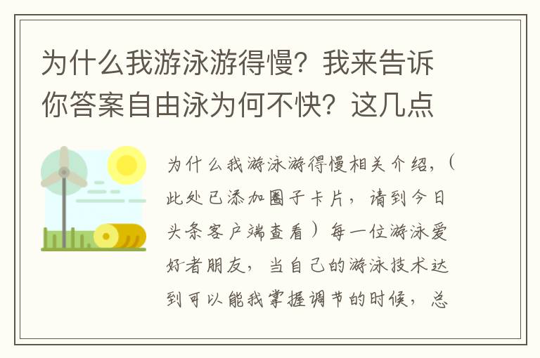 为什么我游泳游得慢？我来告诉你答案自由泳为何不快？这几点你掌握了没有？