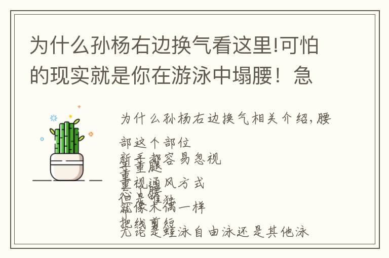 为什么孙杨右边换气看这里!可怕的现实就是你在游泳中塌腰！急需这3种方法帮你纠正