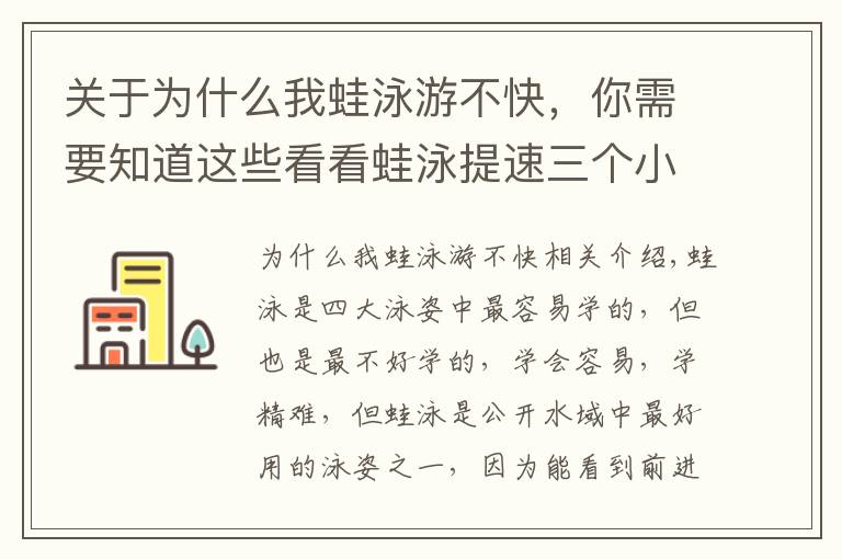 关于为什么我蛙泳游不快，你需要知道这些看看蛙泳提速三个小要点