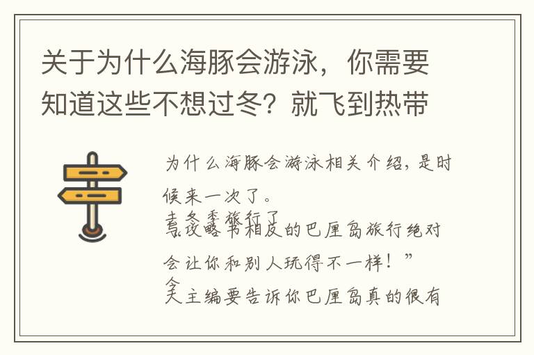 关于为什么海豚会游泳，你需要知道这些不想过冬？就飞到热带的岛屿和海豚一起游泳吧