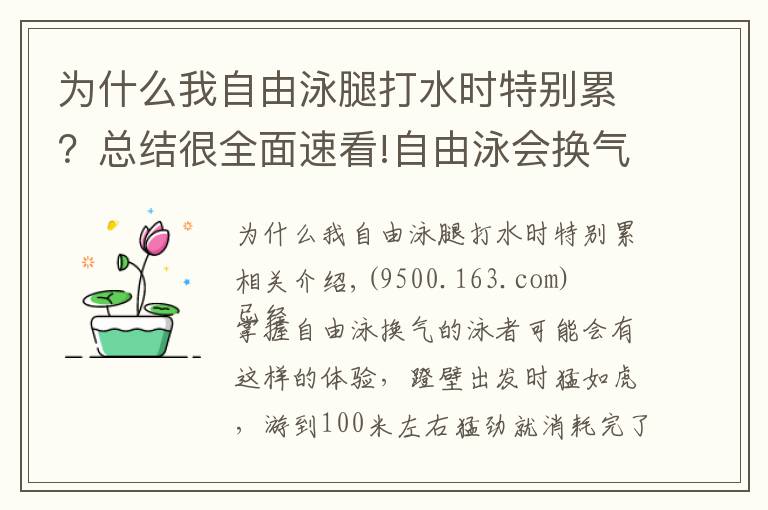 为什么我自由泳腿打水时特别累？总结很全面速看!自由泳会换气却越游越累，常见的三个主要原因