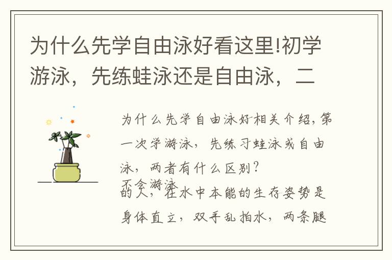 为什么先学自由泳好看这里!初学游泳，先练蛙泳还是自由泳，二者什么区别？