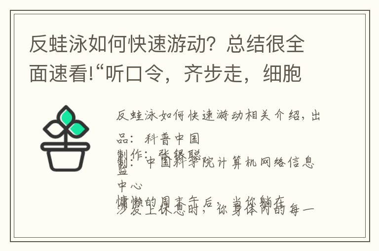 反蛙泳如何快速游动？总结很全面速看!“听口令，齐步走，细胞干活去”