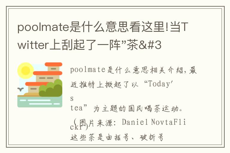 poolmate是什么意思看这里!当Twitter上刮起了一阵"茶"文化，这事儿可不太妙