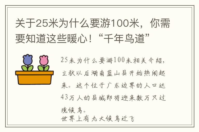 关于25米为什么要游100米，你需要知道这些暖心！“千年鸟道”迎候鸟过境，连续两月关闭高杆路灯为鸟让路