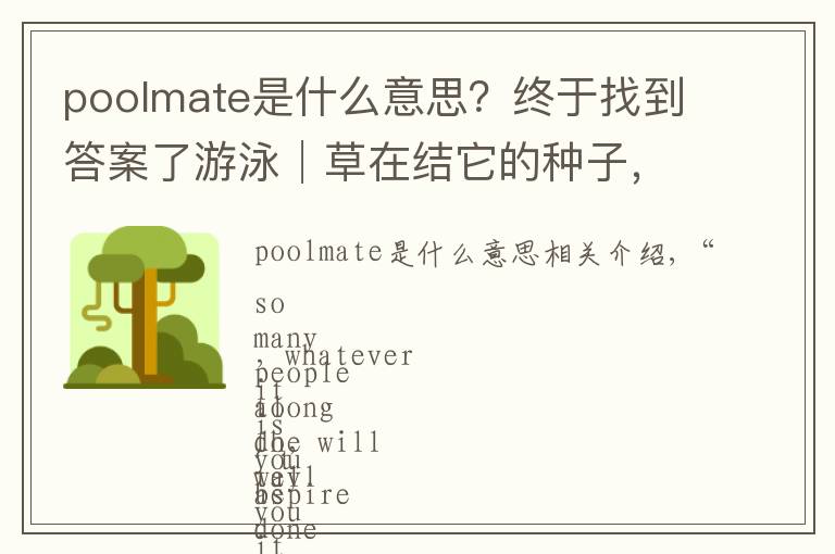 poolmate是什么意思？终于找到答案了游泳│草在结它的种子，风在摇它的叶子，我在水里拥抱久违的自由