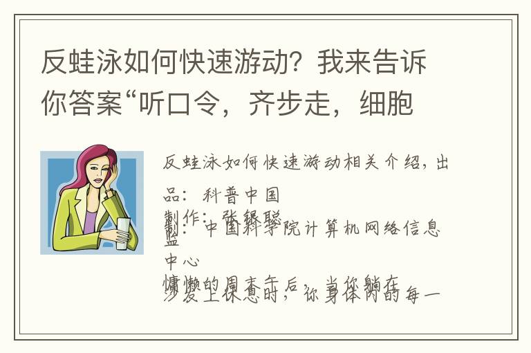 反蛙泳如何快速游动？我来告诉你答案“听口令，齐步走，细胞干活去”