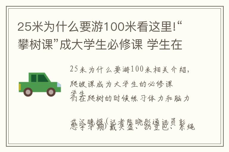 25米为什么要游100米看这里!“攀树课”成大学生必修课 学生在爬树中练体力强脑力