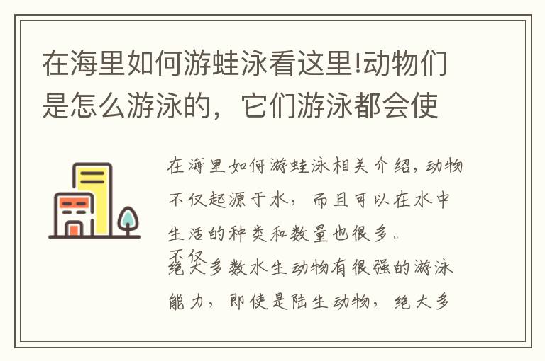 在海里如何游蛙泳看这里!动物们是怎么游泳的，它们游泳都会使用什么“特殊”技巧？