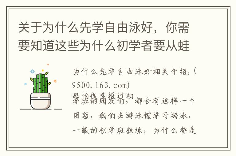 关于为什么先学自由泳好，你需要知道这些为什么初学者要从蛙泳学起？我想学学别的不行吗？不行吗！