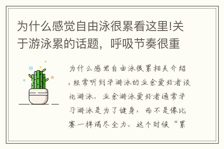 为什么感觉自由泳很累看这里!关于游泳累的话题，呼吸节奏很重要，4个要点详细分析