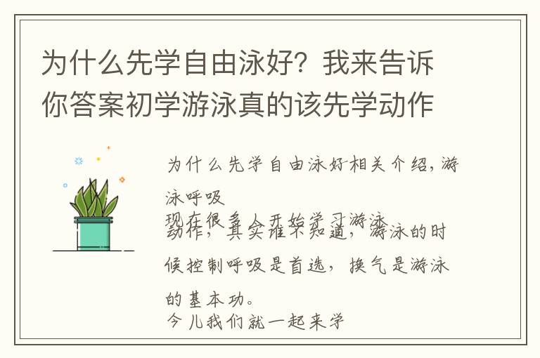 为什么先学自由泳好？我来告诉你答案初学游泳真的该先学动作吗？这个重要之重的要点你掌握了吗？